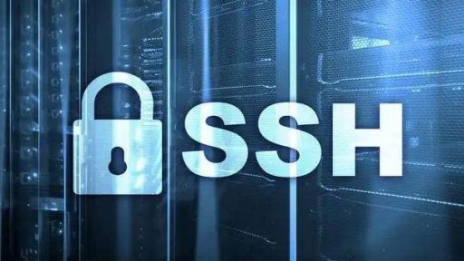 sstap使用教程